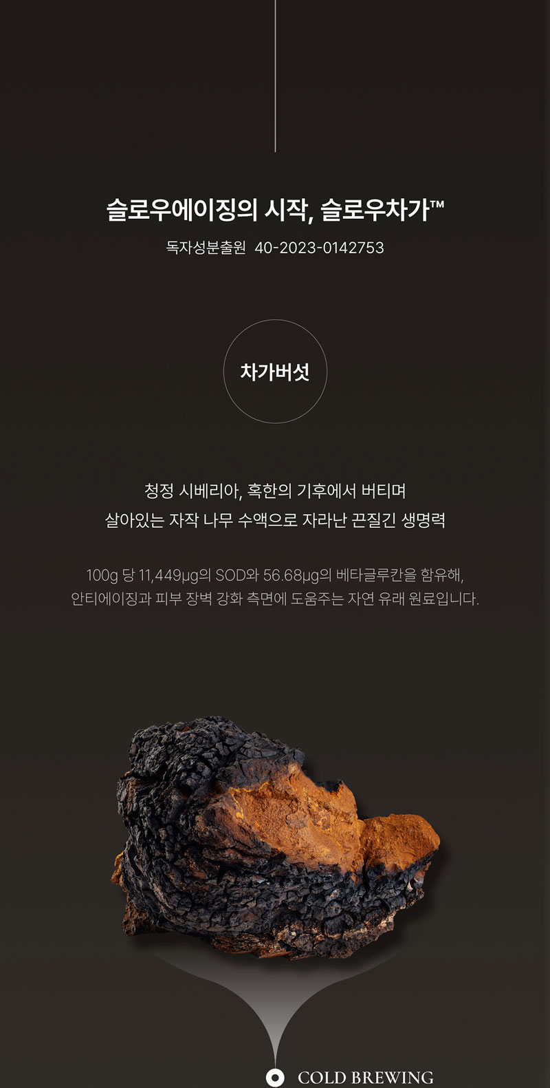 슬로우차가 라하 퓨어 젤 클렌저