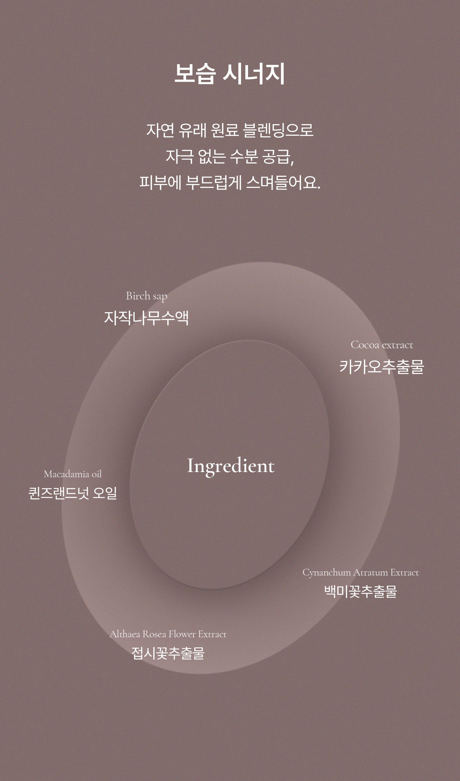 슬로우차가 펩타이드 수분 코어 크림